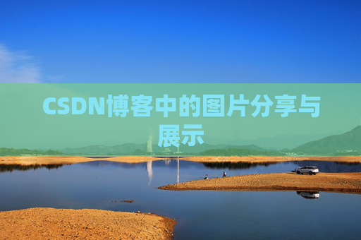 CSDN博客中的图片分享与展示